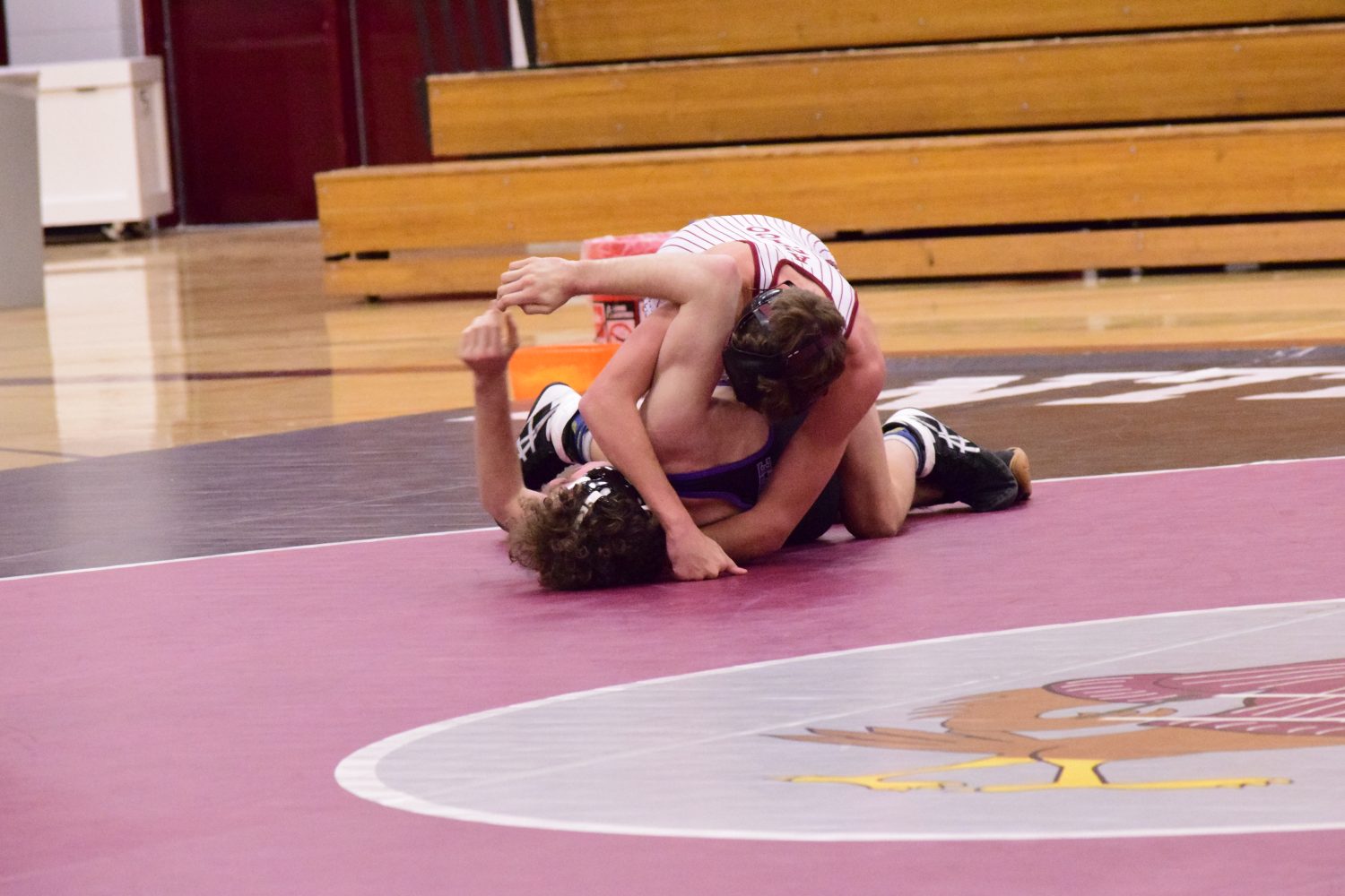 Beaber with the fall