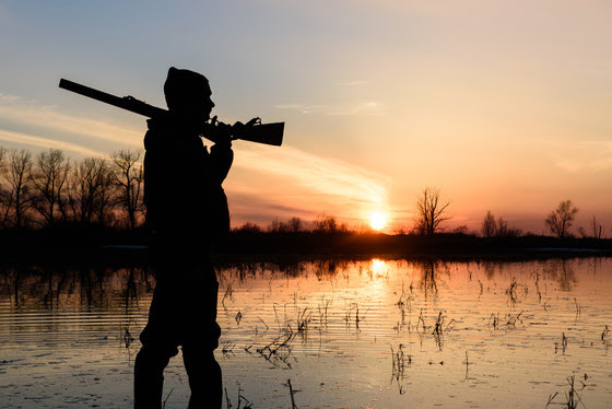 Mourning Dove Early Teal And Early Goose Seasons Open Sept 1 Antigo Times